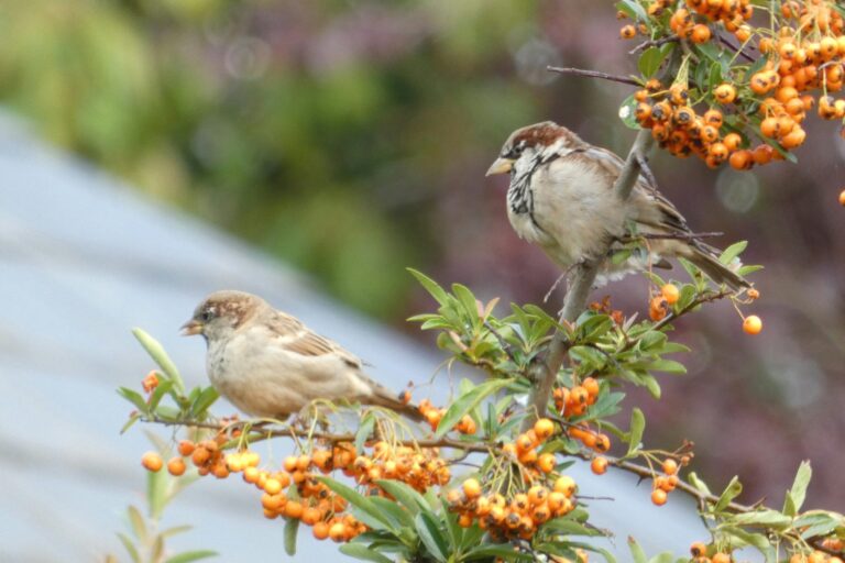 bethany-milam-PnRLmxt809o-unsplash