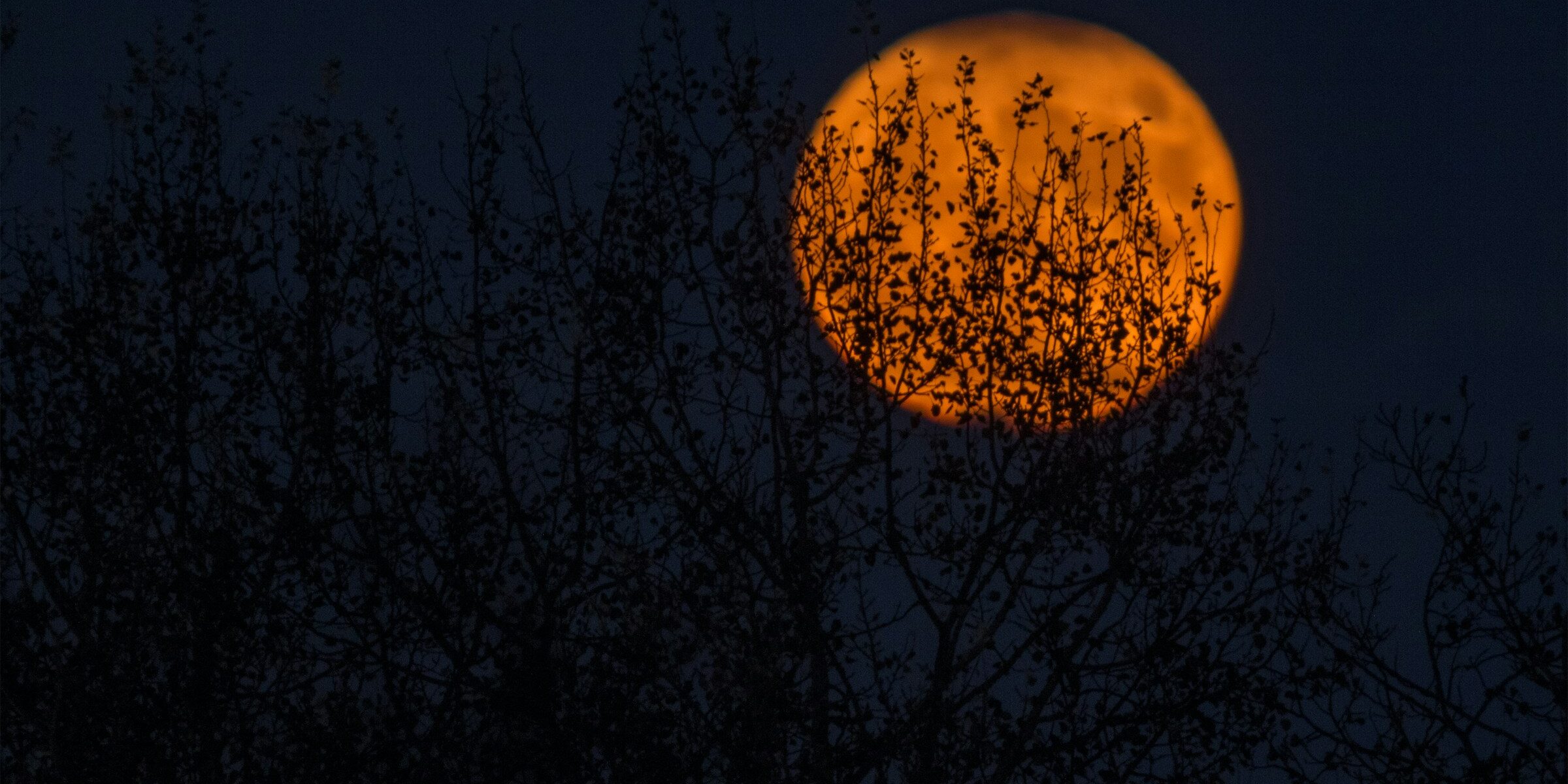 neven-krcmarek-2Ni0lCRF9bw-unsplash